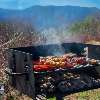 Outdoor grill cooking mixed vegetables and meats on a sunny day.
